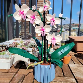 В НАЛИЧИИ Орхидея Фаленопсис Креативность Цветочные Растения В Горшках Совместимы С 10311 Строительными Блоками Кирпичами Игрушками Подарками LepinBlocks