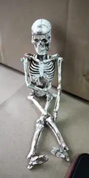 18 см модель человеческого скелета Игрушечная модель скелета